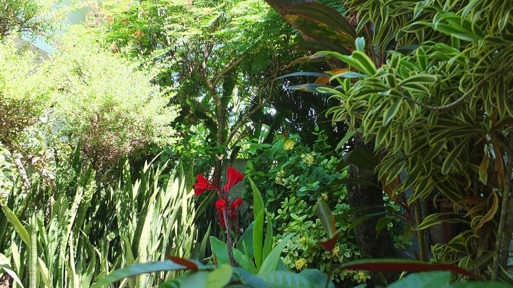 Ricel Homestay Gili Trawangan Exterior photo