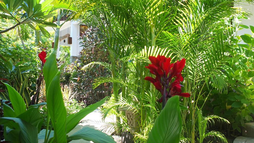 Ricel Homestay Gili Trawangan Exterior photo