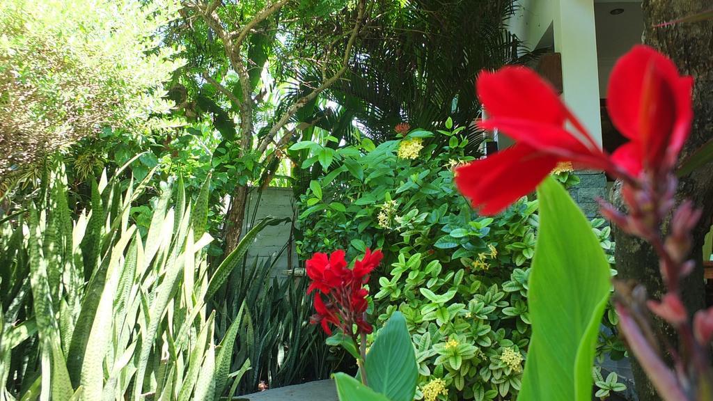 Ricel Homestay Gili Trawangan Exterior photo