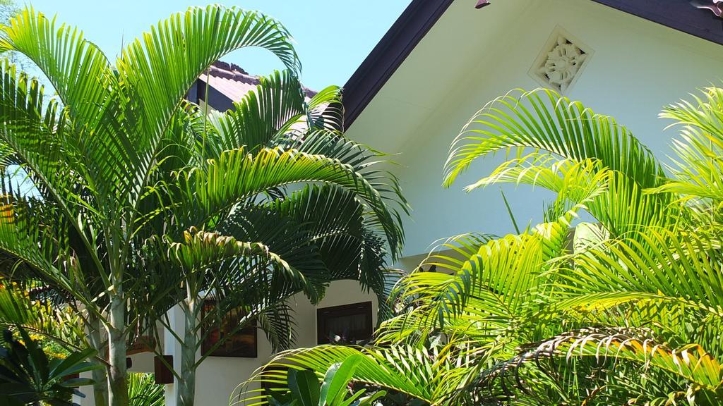 Ricel Homestay Gili Trawangan Exterior photo