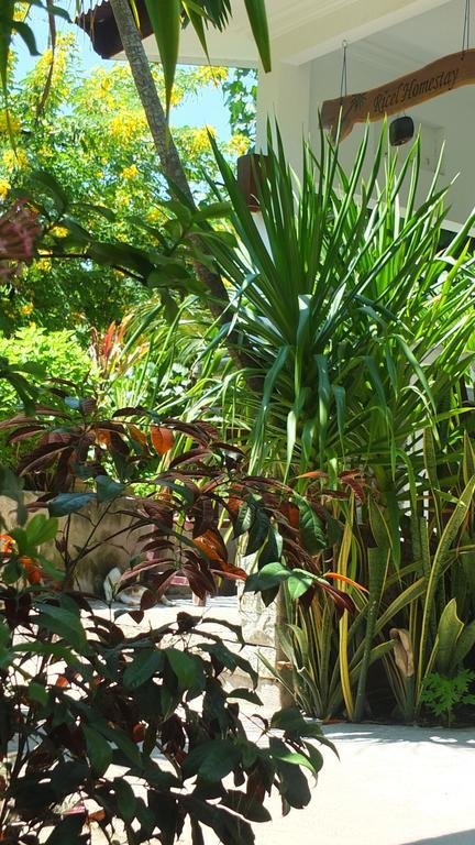Ricel Homestay Gili Trawangan Exterior photo