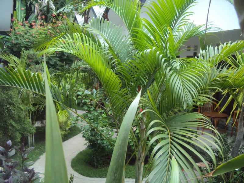 Ricel Homestay Gili Trawangan Exterior photo